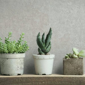 Non-Woven Wallpaper Concrete Look Plain Light grey 34518